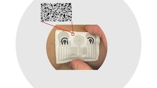 Advanced Electronic Skin for Multiplex Healthcare Monitoring