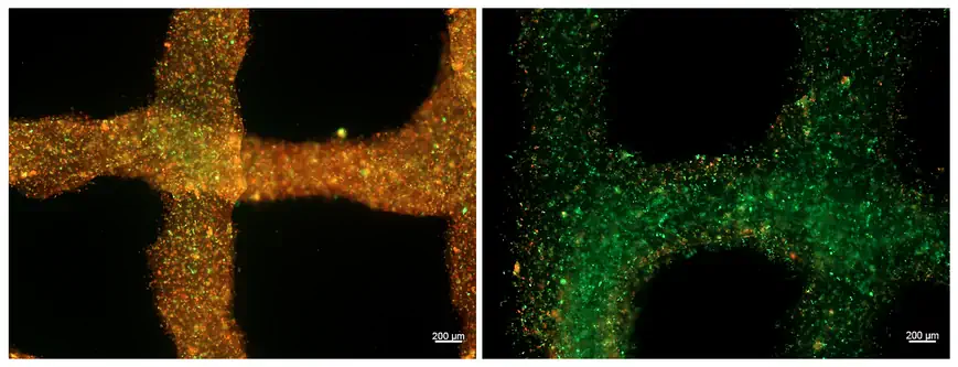 Oxygen-Releasing Bioink for 3D Bioprinting