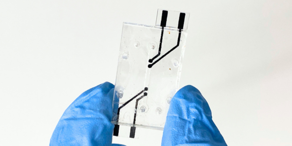 Screen Printed Electrodes For Measuring Endothelial Barrier Integrity